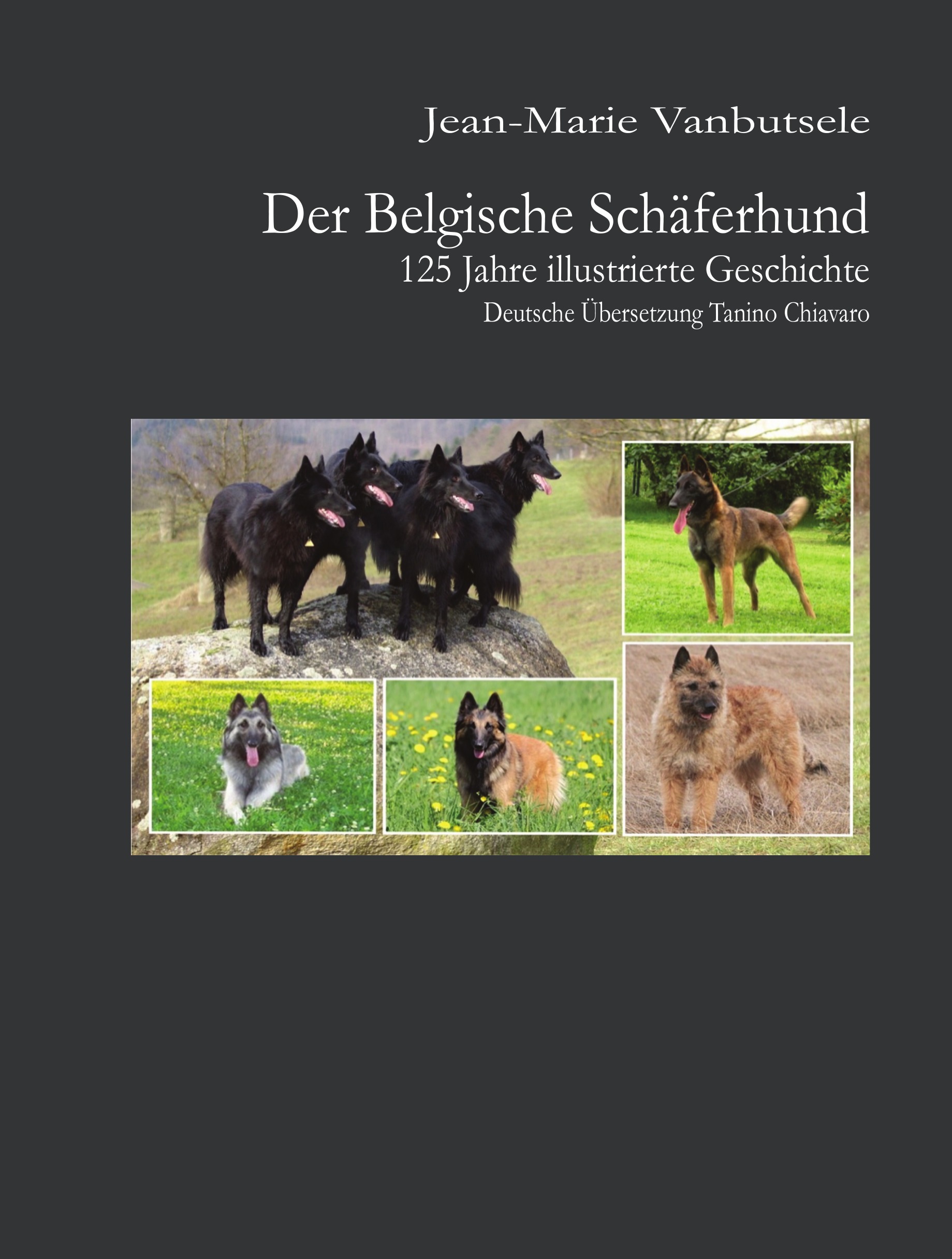 Der Belgische Schäferhund