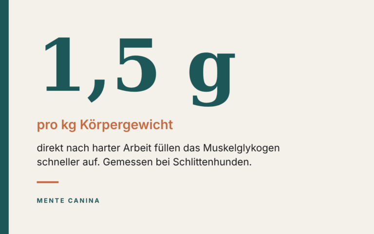Brauchen Hunde nach harter Arbeit Kohlenhydrate?