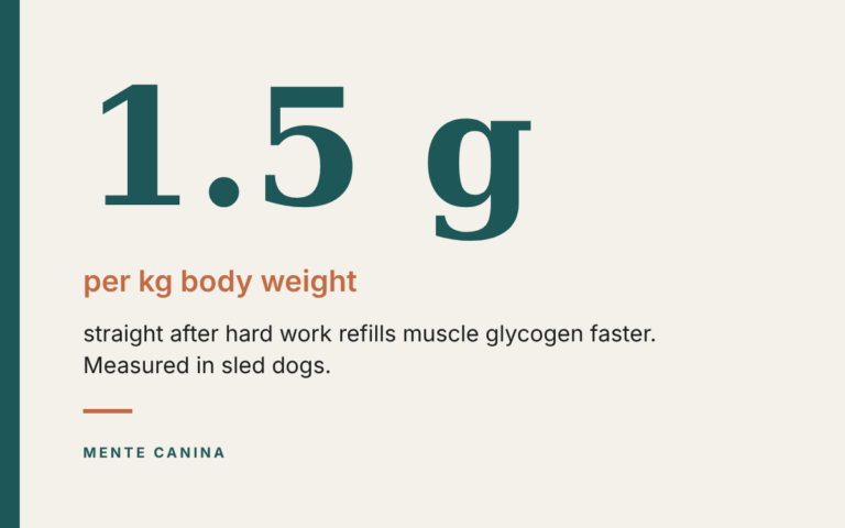 Do dogs need carbohydrate after hard work?
