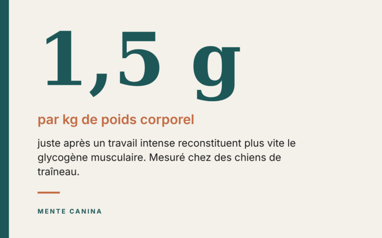 Les chiens ont-ils besoin de glucides après un travail intense ?