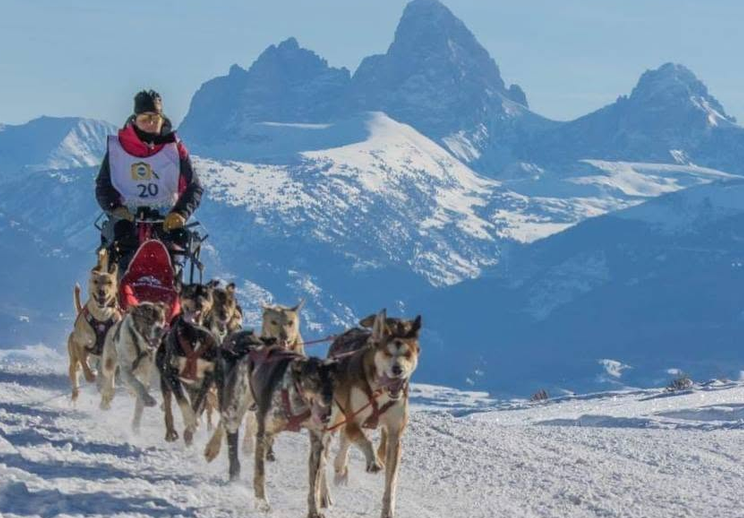 Gespann in voller Fahrt auf einer Schneefläche, dahinter eine schroffe Bergkette