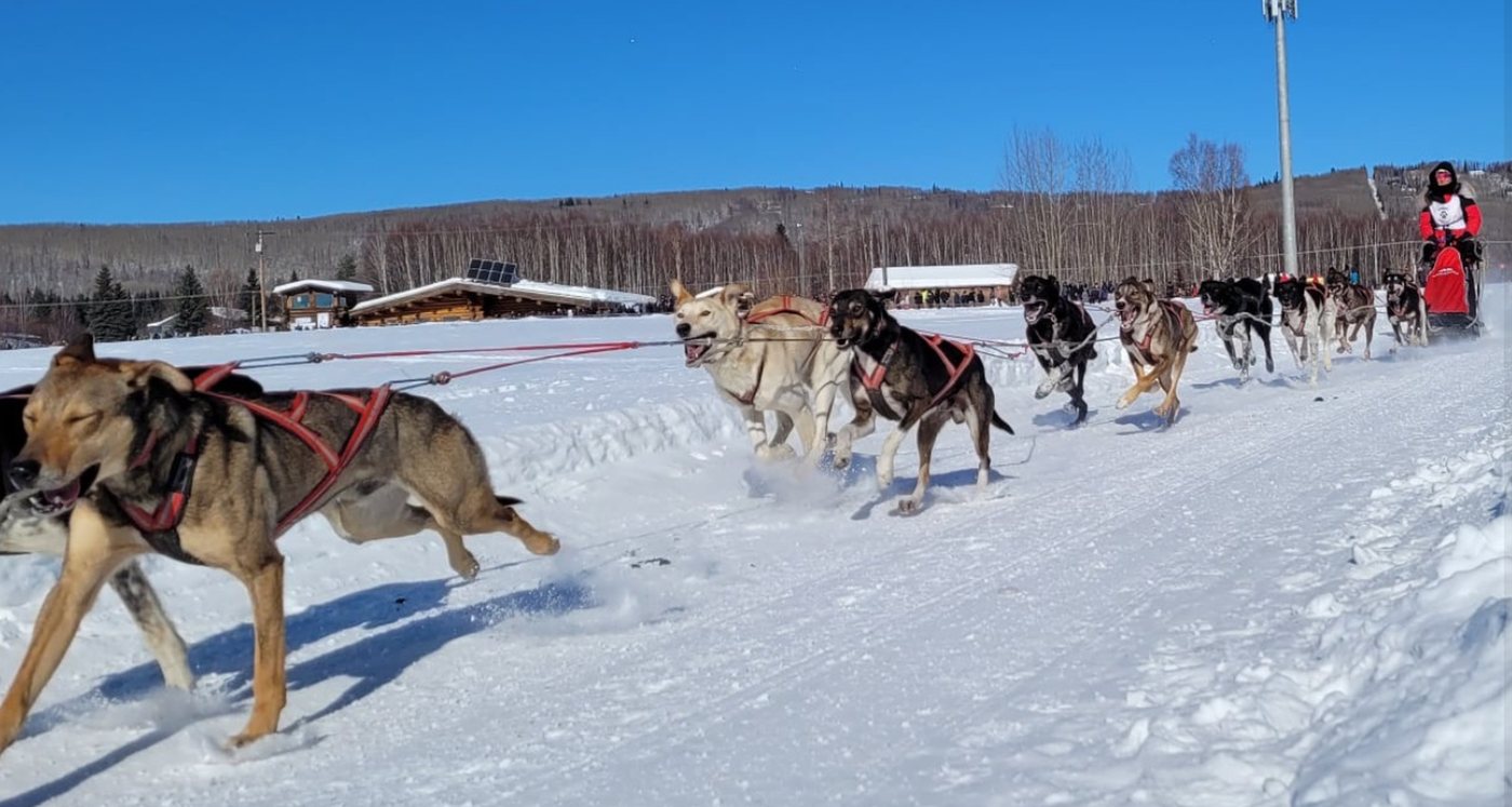 Schlittenhundegespann in vollem Lauf auf einer verschneiten Rennstrecke, dahinter die Musherin